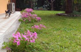 nido di dafne - Foto 34