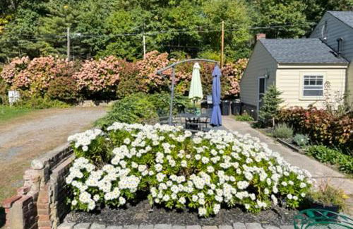 Garden Cottage By The Sea - Foto 30