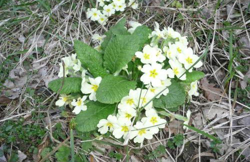 Casa Vacanza Abruzzo - Photo 14