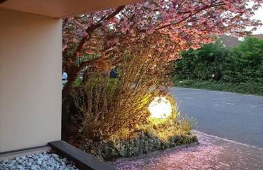 2 Soundproof Fully Equipped Studios near Geneva Airport - Foto 20