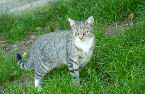 Ferienhaus Eck - Foto 17