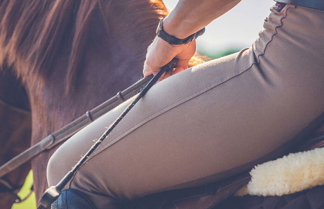 Balade à cheval à travers l'Alpujarra - Photo 1