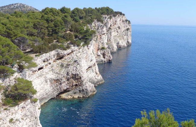 Excursión al Parque Natural de Telascica en barco - Foto 5
