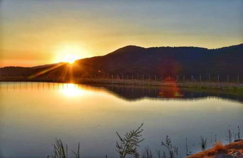 mirmidones Anesis - Foto 47