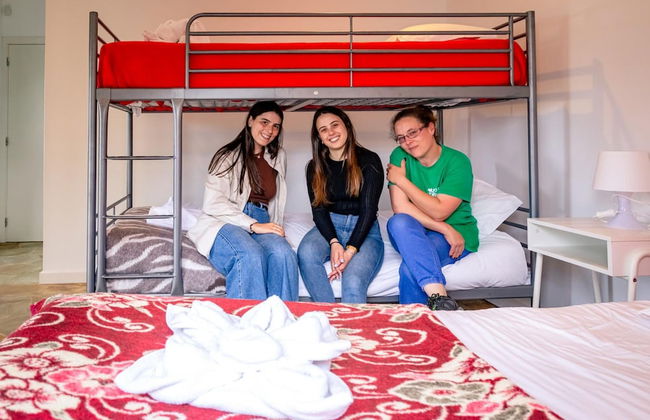 Casa dos Cal os in S o Mateus da Calheta - Photo 43