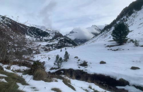 Flor de Hielo - Photo 14