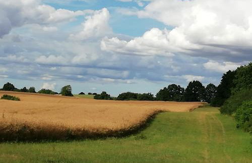 Am Froschteich - Foto 26