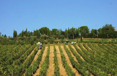 Agriturismo Isola Verde - Foto 50