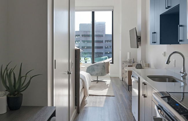 Barsala At 2010 West End Apartments - Photo 6