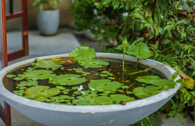 Saku Residence - Foto 15