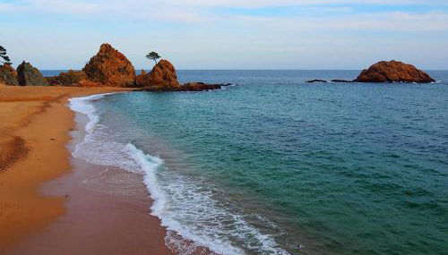 Mar menuda a pocos metros de la playa - Foto 5