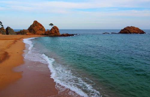 Mar menuda a pocos metros de la playa - Foto 6