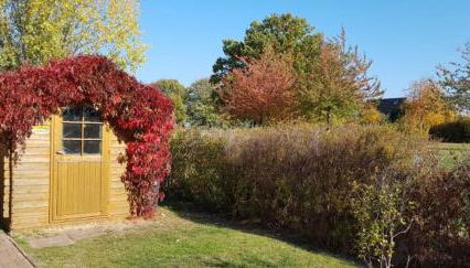 Villa Pepita - Foto 5