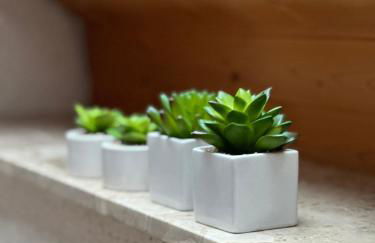 Odenwaldpanorama - Foto 22