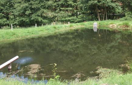 Gottschlich Apartment Schmallenberg - Foto 37