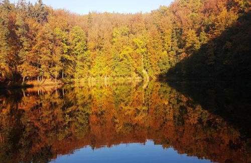 Modern Holiday Home in Hessen - Foto 76