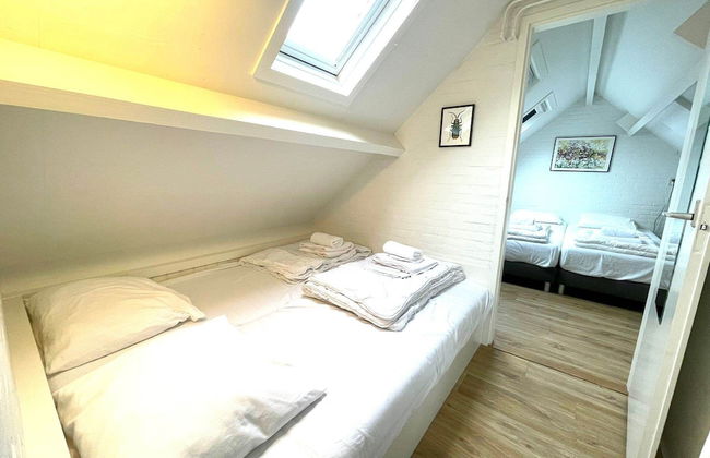 De Vlindertuin Ameland - Photo 38