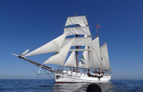 FeWo Machedanz zentrumsnah & ruhig Timmendorfer Strand - Foto 32