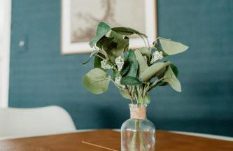 Near Lake, Trails & Logan, Free Paddleboards - Foto 23