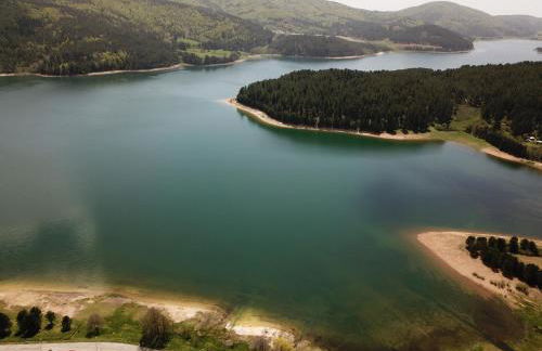 Tra il bosco e il lago - Foto 25