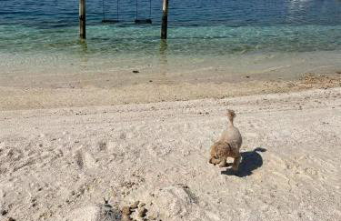 Kuća za odmor Pobor JADRANOVO - Foto 48