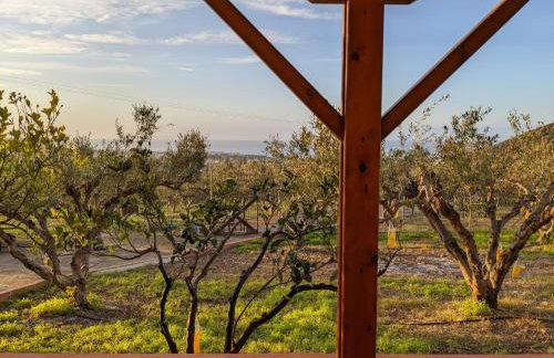 House of Polymnia - Photo 53