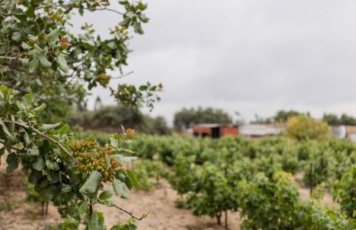 Minas Farm Cottage - Photo 9