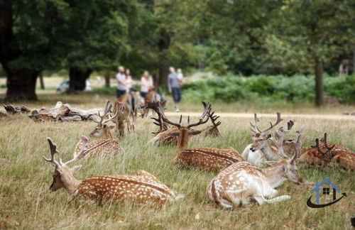 Unique Boathouse, detached free parking x4 cars - Foto 27