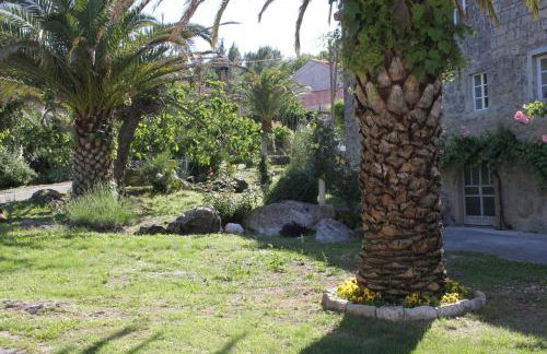 Apartments with a parking space Popovici, Dubrovnik - 8694 - Foto 8