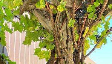 Sybelle appart - Foto 3