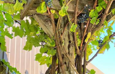 Sybelle appart - Foto 3