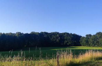 Le Pas du Loup - Photo 13