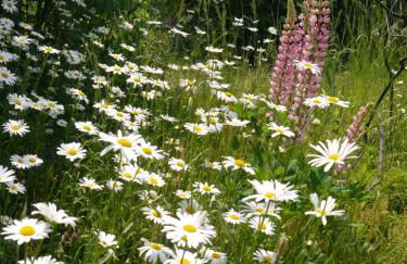 Ferienwohnung Waldschloss - Foto 38