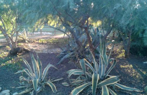 Mas de l'Olivier - Foto 15