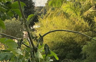 Casa Žerotín - Foto 37