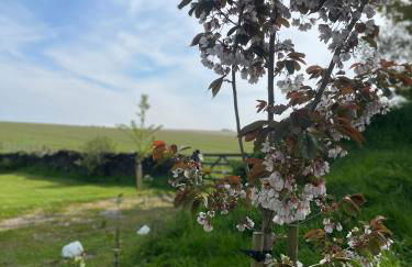 Winstitchen Cottage situated near the River Barle - Foto 40