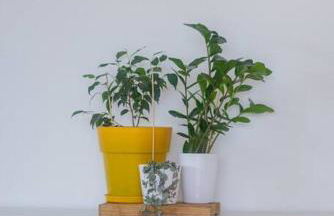 Alethea's Sea View Apartment - Foto 42