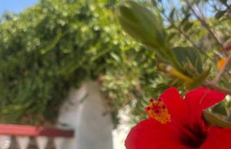 Agroturismo Matxani Gran - Foto 52