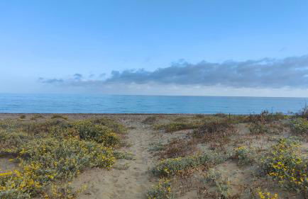 Apartamento Almerimar primera linea de playa - Foto 3