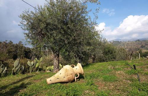 Terra Lenù - Foto 9