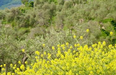 Country House With Big Garden - Photo 53