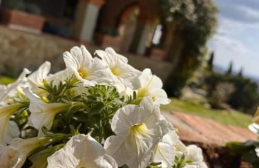 La Villa ARTE del Lupo-Two Birds - Foto 13