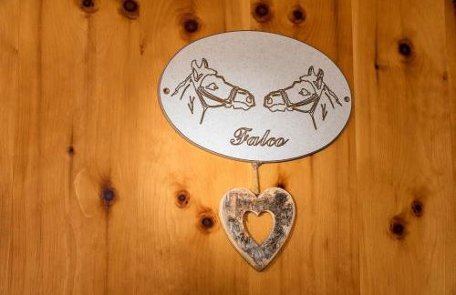 Col Dala Vara - Foto 17