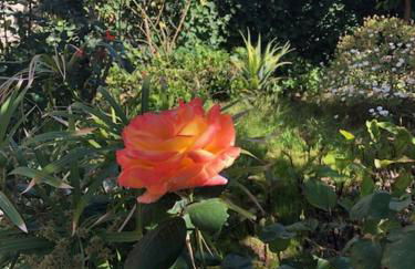 Villa la Rina - Foto 17