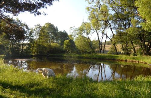 Dog-friendly Holiday Home in the Knull - Foto 59