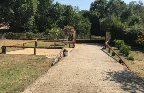 Villa Nino - Foto 59