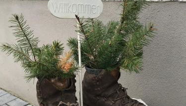 Ferienwohnung Stafflel - Wohlfühlen im Odenwald - Foto 2