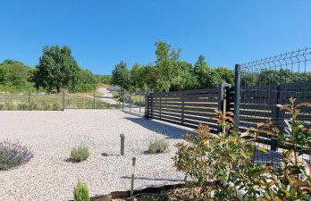 Green Forest - Photo 32