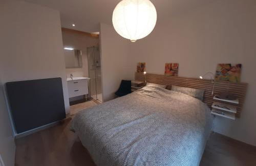 Villa du Lac - Clos Berthet - Photo 9