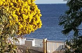 Rez de Jardin T3 recent et calme au Nouvelles Terres à La Londe les Maures - Foto 27